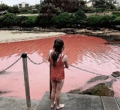 Красные воды берегов Сиднея