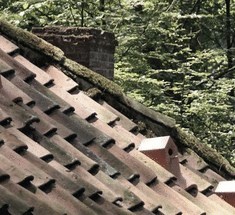 Rooftiles Birdhouse – скворечник, встроенный в кровлю жилого дома 