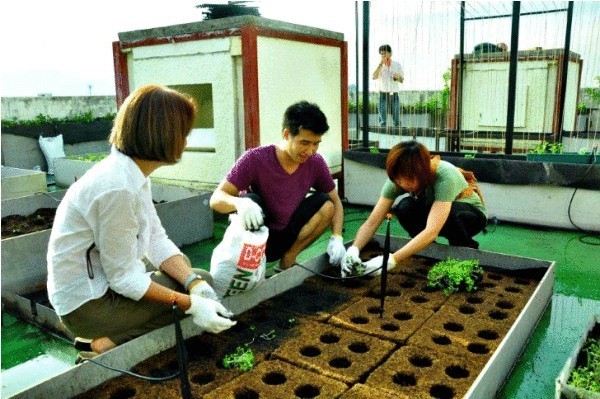 Зелёные инновации: сад на крыше университета в Бангкоке