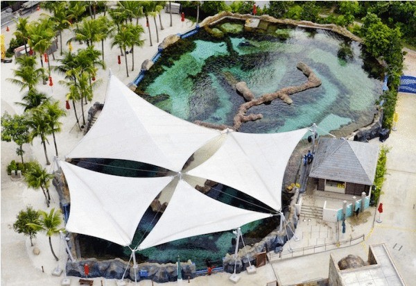S.E.A. Аквариум в Сингапуре - самый большой аквариум в мире 