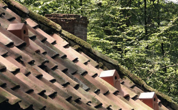 Rooftiles Birdhouse – скворечник, встроенный в кровлю жилого дома 