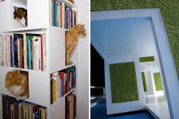 CatCase – шкаф для книг и котов 