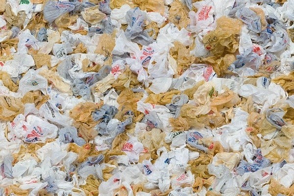 Найден революционный способ утилизации пластиковых отходов