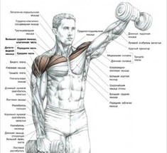 6 эффективных упражнений на плечи