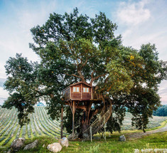 Домик на дереве Suite Blue— необычный отель в живописном уголке Италии