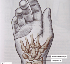 Как вылечить суставы пальцев рук: уникальный метод