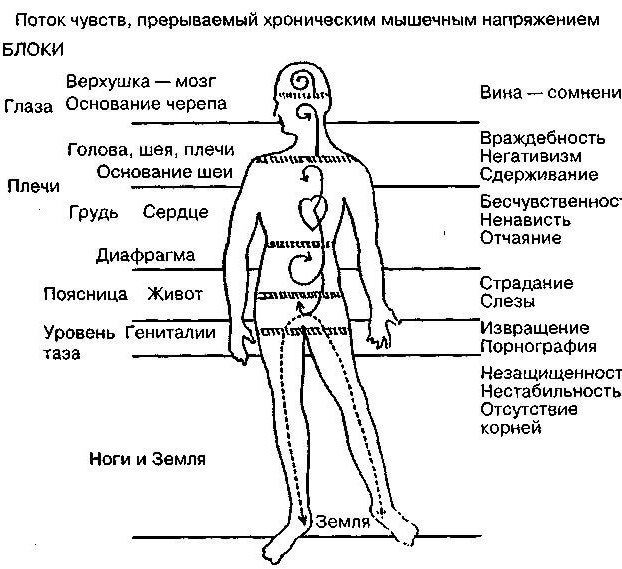 Эмоциональная карта тела