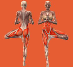 Упражнение «Живые суставы» при артрите
