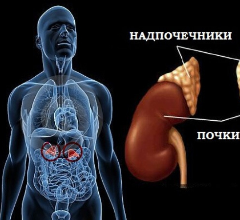 По оганян чистка марве оганян схема дням