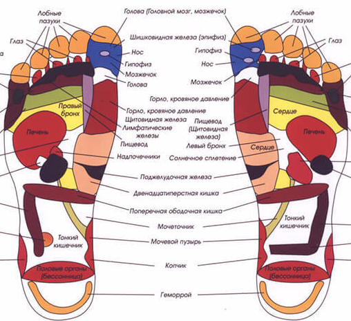 Массаж стоп картинки инструкция