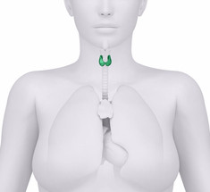 Нездоровая щитовидная железа: сухая кожа, лишний вес и другие признаки