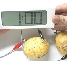 9 магических свойств картофеля, о которых вы не догадывались!