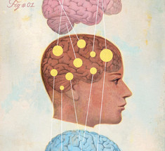 Серж Гингер: Женский мозг и Мужской мозг