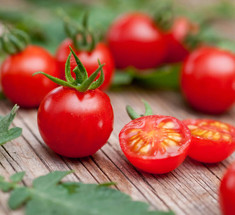 Всё, что вы не знали о томатах