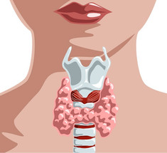 Щитовидная железа: 4 пищевые привычки, которые полезны для её здоровья