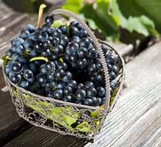 Как хранить виноград - узнайте секреты!