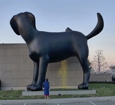 Скульптура лабрадора возле здания музея в Калифорнии