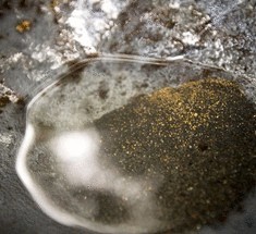 Микробиологи придумали, как добывать золото из обычной воды