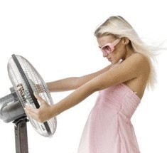 Ученые утверждают, что вентилятор не спасает от жары