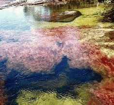 Самая красивая река на Земле
