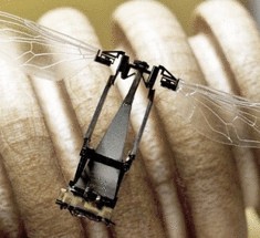 RoboBee — самый маленький робот в мире
