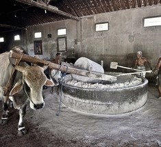 Уникальное экологичное производство лапши в Индонезии