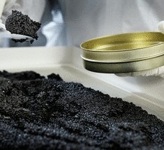 Невероятная добыча чёрный икры в Израиле