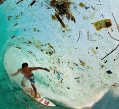 Остров Ява накрыли волны мусора