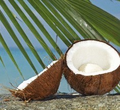 3 удивительных фактов о кокосах, о которых Вы не знали