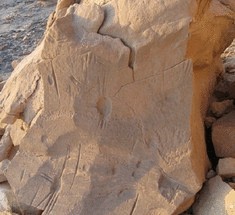 Древняя плита с неизвестными изображениями обнаружена в Египте