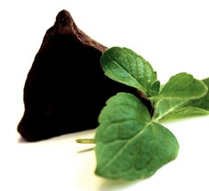 Из водорослей будут делать «здоровый» шоколад
