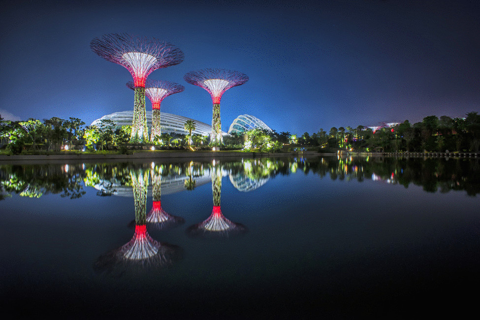 Сады у залива — лучший парковый комплекс в Сингапуре
