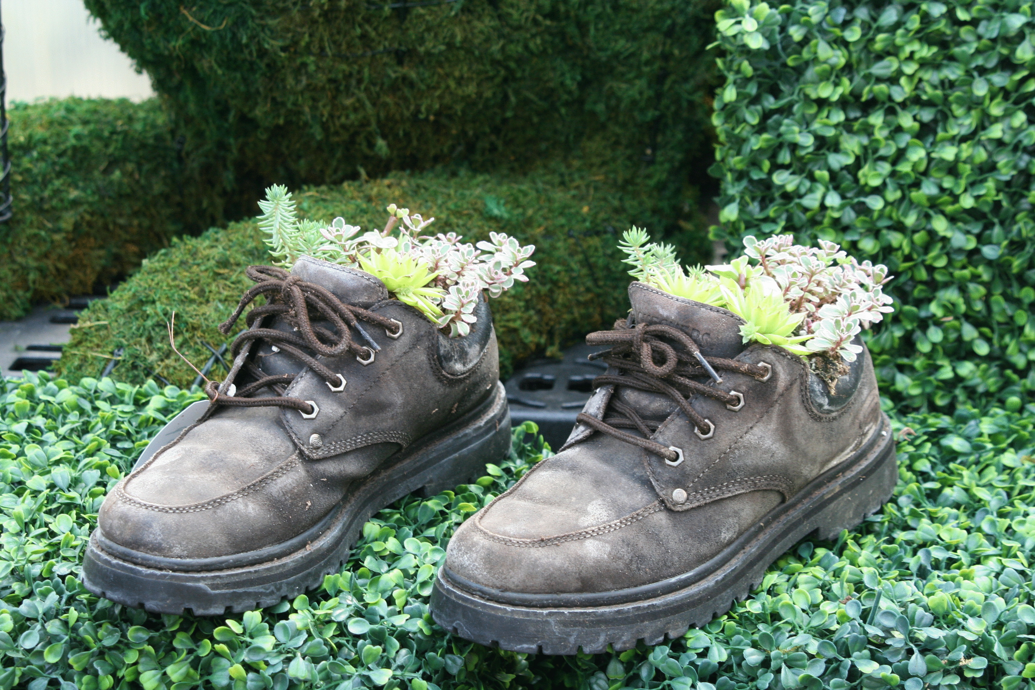 Как превратить старую обувь в цветочные горшки?