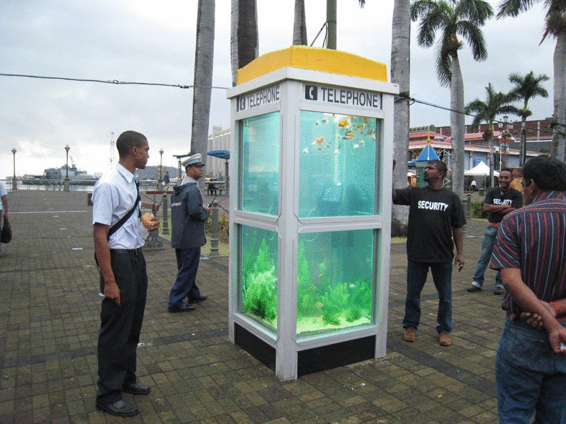 На улицах Англии старые телефонные будки превращают в аквариумы