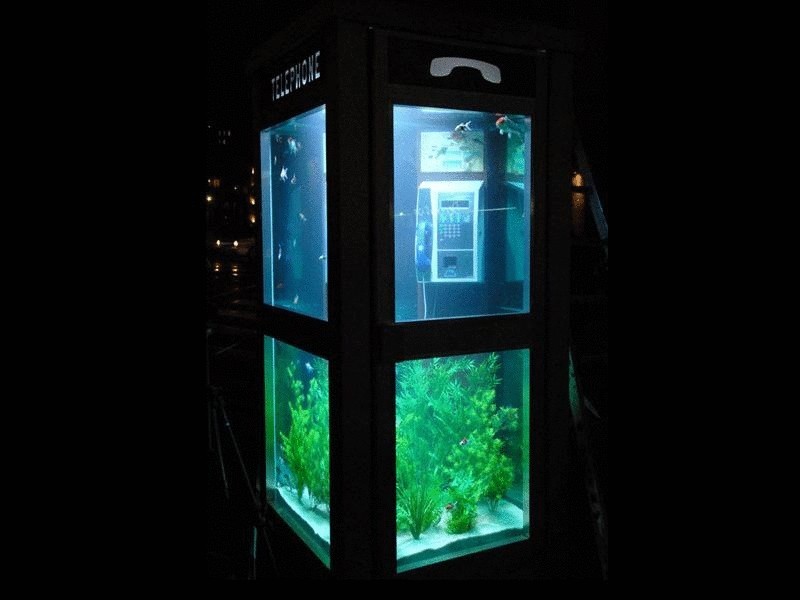 На улицах Англии старые телефонные будки превращают в аквариумы
