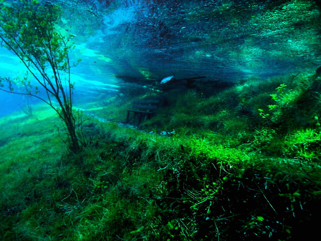Подводный парк 