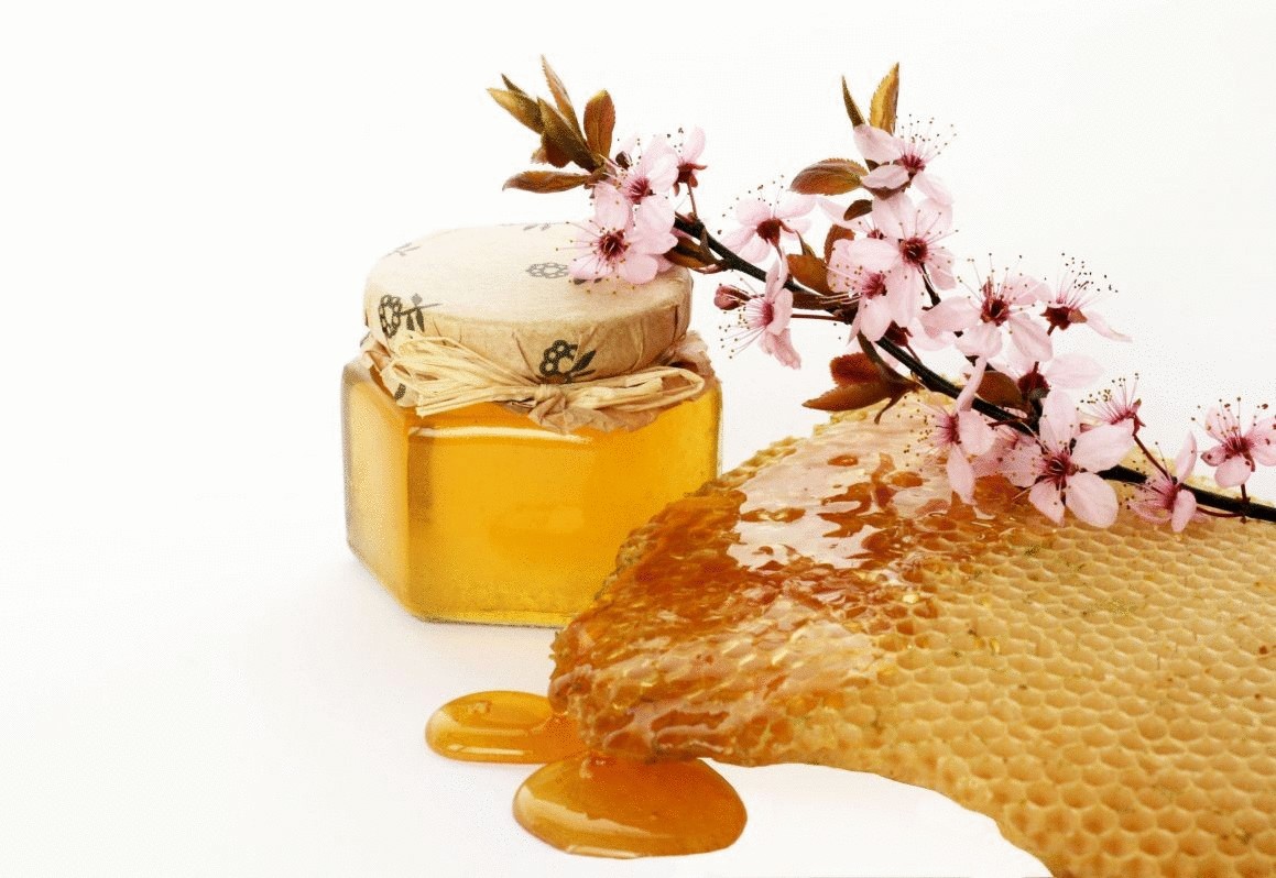 Мёд сможет заменить антибиотики