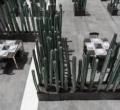 Ужин среди кактусов. Интригующий интерьер нового ресторана El Montero в Мексике 
