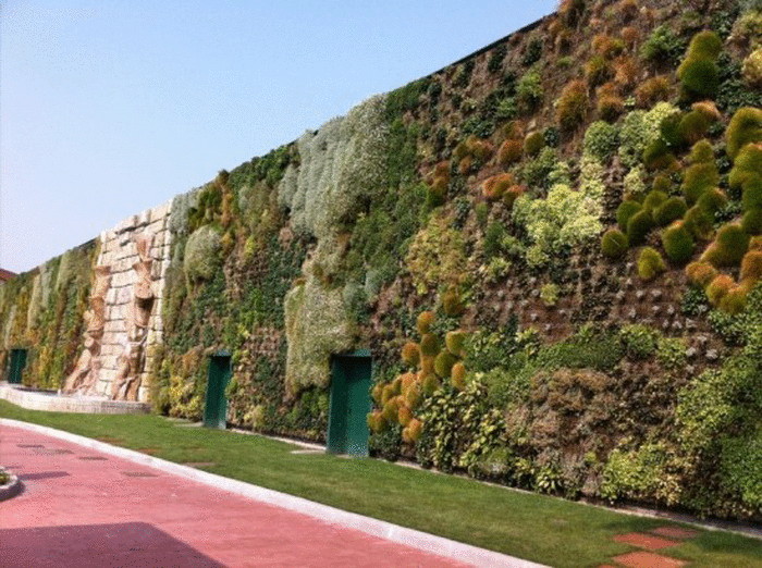 Огромный вертикальный сад на стенах итальянского торгового центра