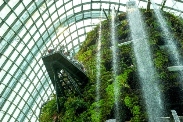 Удивительные Сингапурские сады: футуристический дизайн и другие современные эко-технологии 