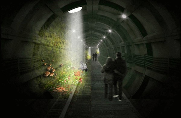 Тоннель с грибами: лондонский вариант High Line 