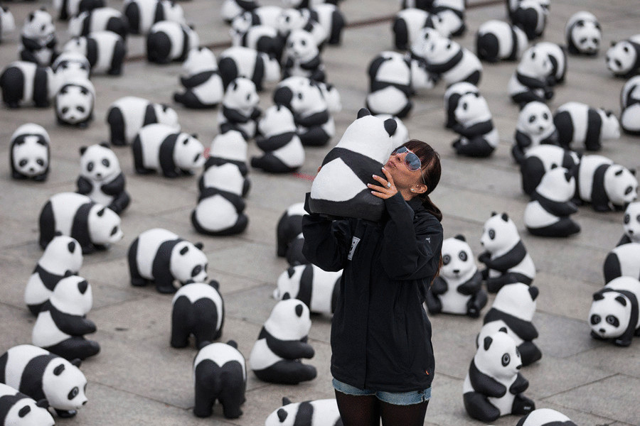 Художник создал копии всех оставшихся панд на Земле