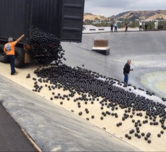 Лос-Анджелес выбросил миллионы пластиковых шариков в водохранилище для очистки воды