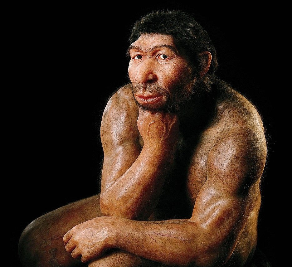 Homo sapiens Neanderthalensis