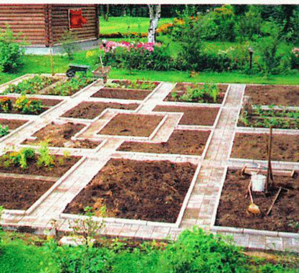 Сад и огород для ленивых фото