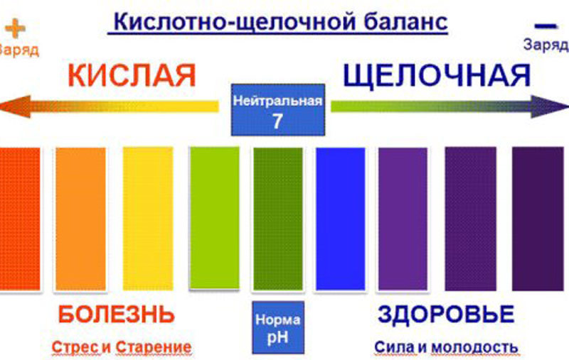 Обои кислотные 4к