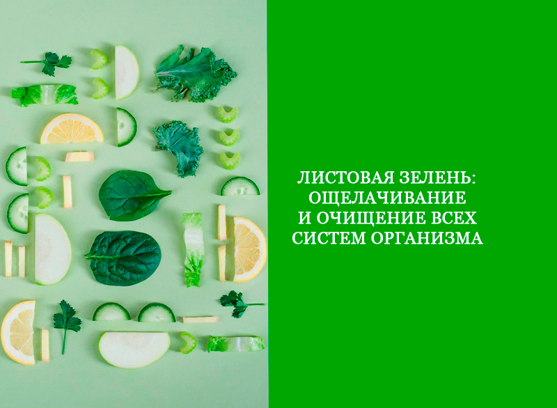 продукты которые ощелачивают организм таблица.