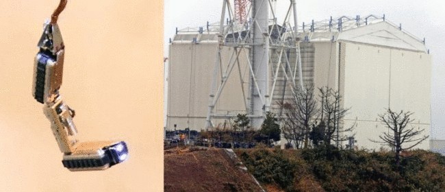 Японский робот «умер» после трех часов пребывания в ядерном реакторе «Фукусима-1»