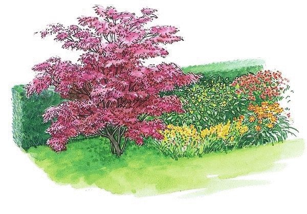 Один сад — две идеи: цветник без хлопот и живые изгороди