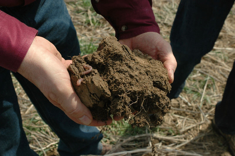 Разница между вспахиваемой и неперепахиваемой почвой